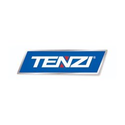 Tenzi